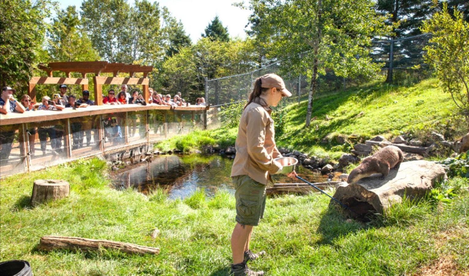 Auberge Soleil De Mer Bonaventure Eksteriør billede